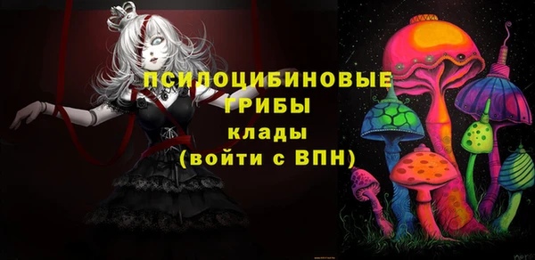 spice Краснослободск