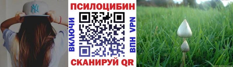 Галлюциногенные грибы MAGIC MUSHROOMS  Купить  Малгобек 